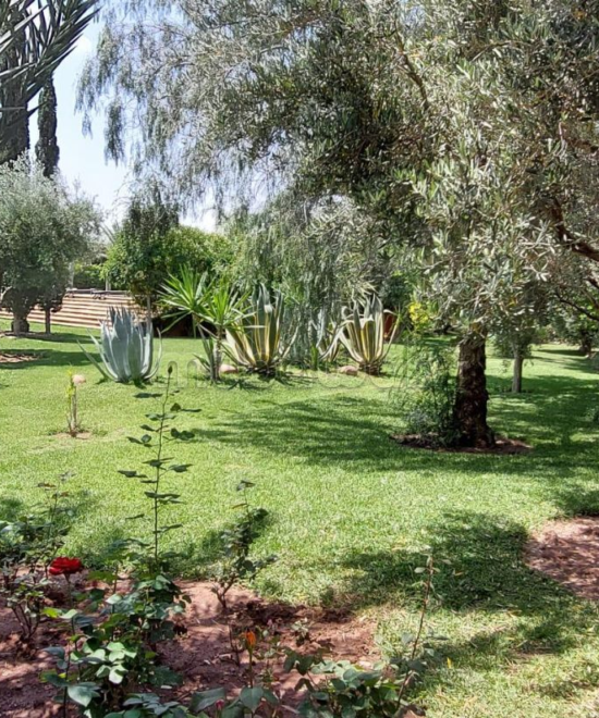 terrain à vendre à Marrakech